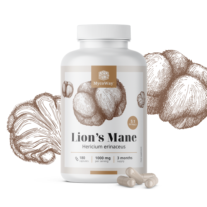 Cogumelo juba de leão 1000 mg – extrato 5:1