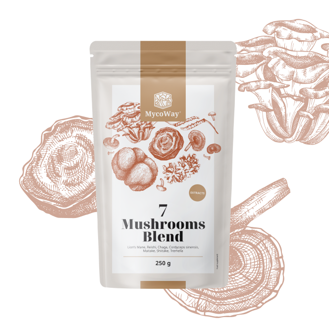 Mistura de extratos de sete cogumelos em pó