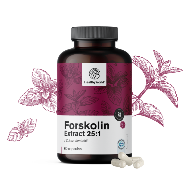 Forskolin – do extrato de urtiga indiana 20 mg