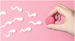 Quer saber quando está no periodo fértil? 