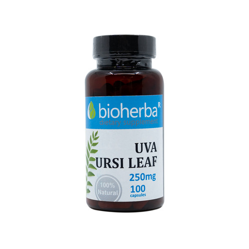 Uva-ursina (Uva ursi) 250 mg, 100 cápsulas