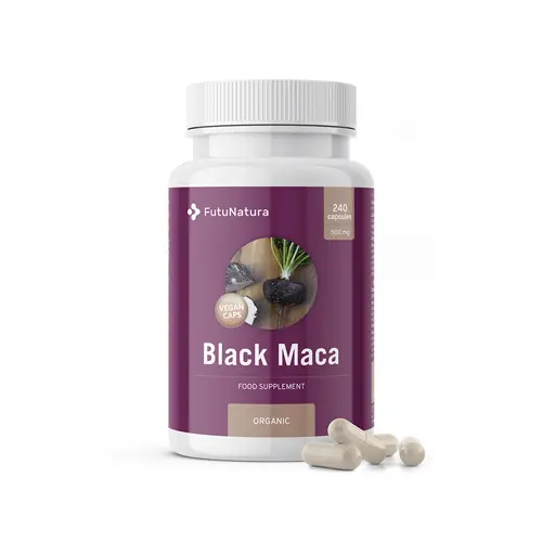 Maca negra orgânica