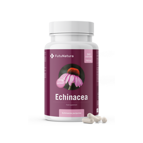 Equinácea-purpúrea – extrato 10:1, 360 cápsulas