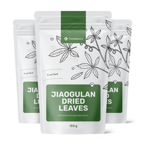 3x Jiaogulan folhas secas, total de 450 g