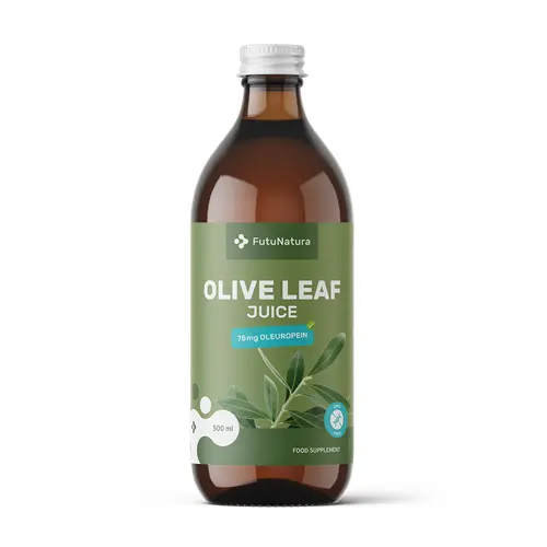 Sumo de folhas de oliveira