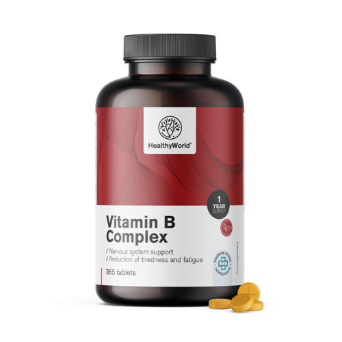 Complexo de Vitamina B, 365 comprimidos