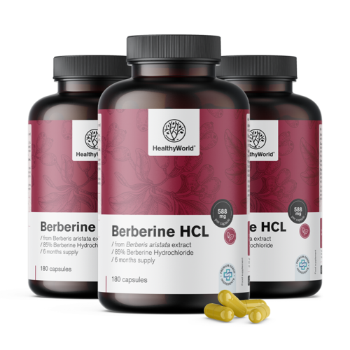 3x Berberina HCL 500 mg, total de 540 cápsulas