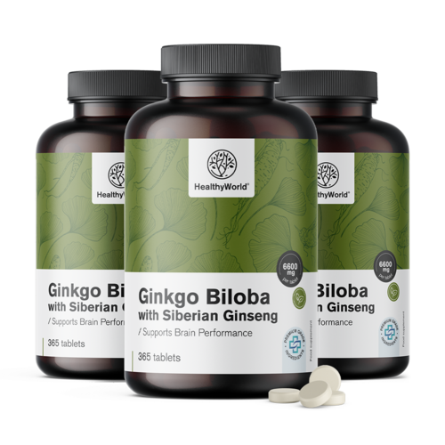 3x Ginkgo biloba com ginseng siberiano 6600 mg, total de 1095 comprimidos