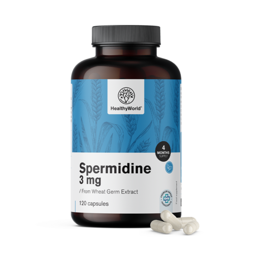 Espermidina 3 mg – extrato de gérmen de trigo, 120 cápsulas
