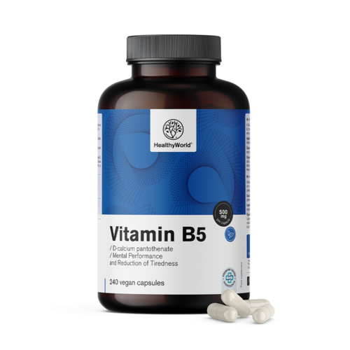 Vitamina B5 500 mg, 240 cápsulas