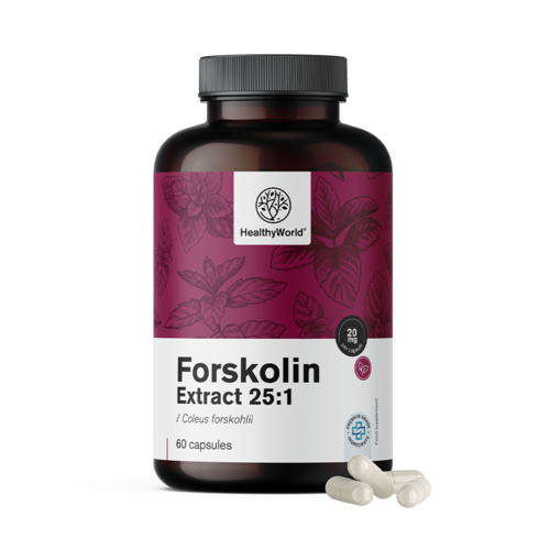 Forskolin – do extrato de urtiga indiana 20 mg, 60 cápsulas