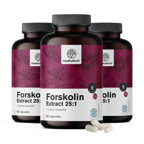 3x Forskolin – do extrato de urtiga indiana 20 mg, total de 180 cápsulas