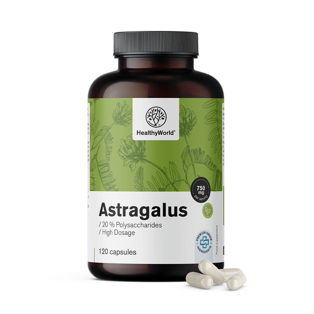 Astragalus – extrato