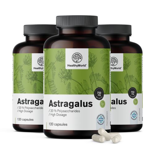 3x Astragalus – extrato, total de 360 cápsulas