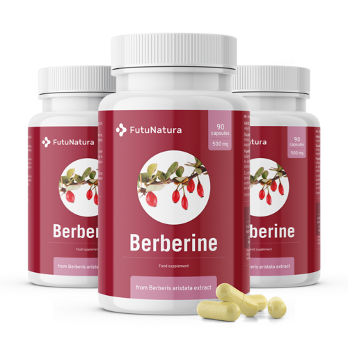 3x Berberina 500 mg, total de 270 cápsulas