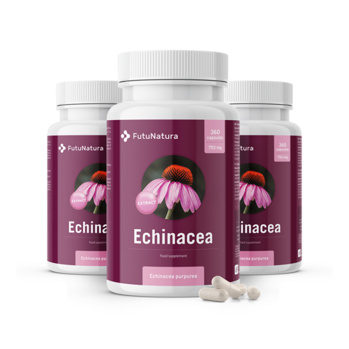 3x Equinácea-purpúrea - extrato 10:1, total de 1080 cápsulas