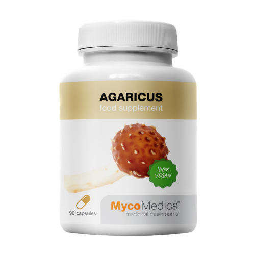 Cogumelo Agaricus.