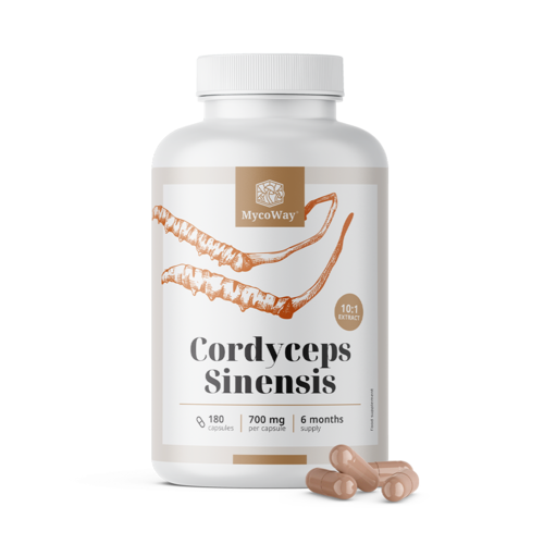Cordyceps sinensis 1400 mg – extrato 10:1, 180 cápsulas