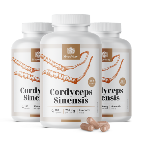 3x Cordyceps sinensis 1400 mg - extrato 10:1, total de 540 cápsulas
