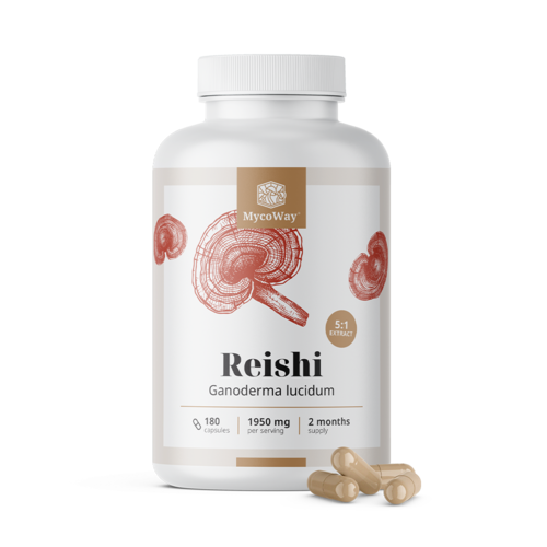 Reishi 1950 mg – extrato 5:1, 180 cápsulas