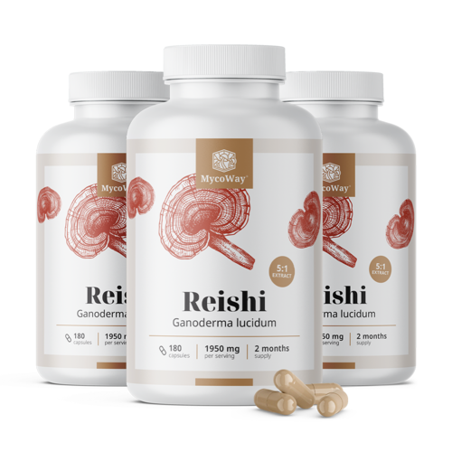 3x Reishi 1950 mg – extrato 5:1, total de 540 cápsulas