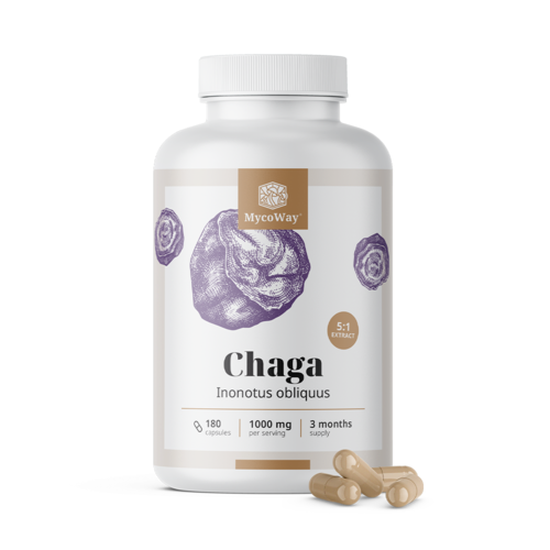 Chaga 1000 mg – extrato 5:1, 180 cápsulas