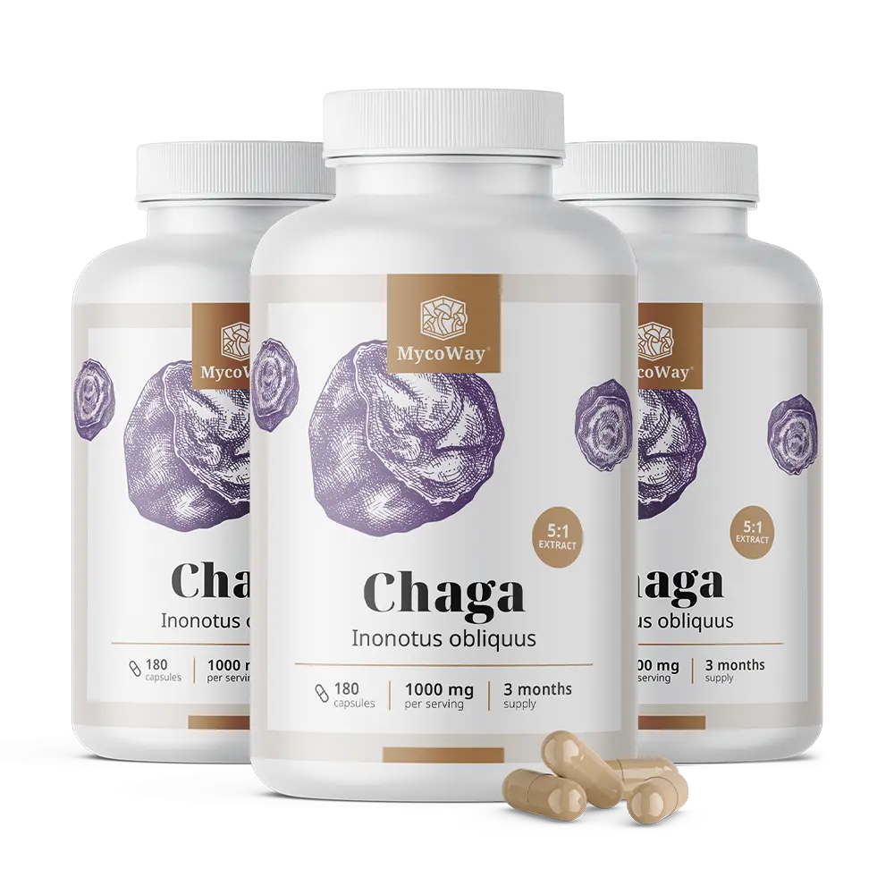 Chaga 1000 mg – izvleček 5:1