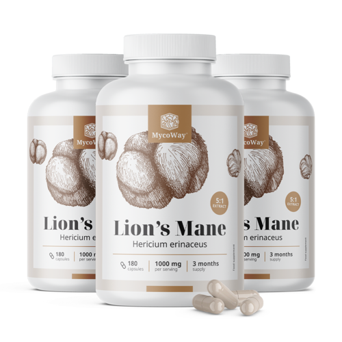 3x Cogumelo juba de leão 1000 mg – extrato 5:1, total de 540 cápsulas