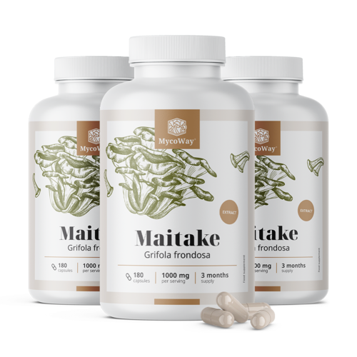 3x Maitake 1000 mg – extrato, total de 540 cápsulas