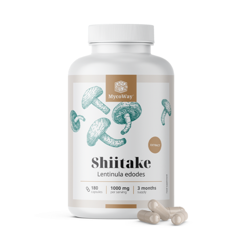 Shiitake 1000 mg – extrato, 180 cápsulas