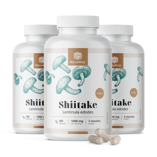 3x Shiitake 1000 mg – extrato, total de 540 cápsulas