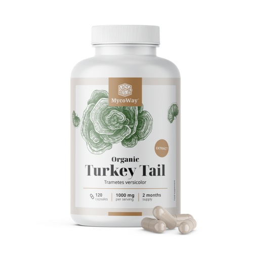 Cogumelo cauda-de-peru (Turkey Tail) BIO 1000 mg – extrato, 120 cápsulas
