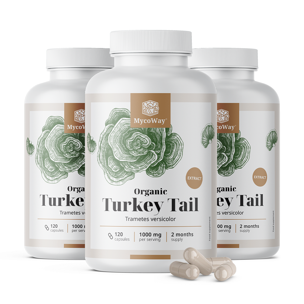 3x Cogumelo cauda-de-peru (Turkey Tail) BIO 1000 mg – extrato BIO Turkey Tail 1000 mg – izvleček