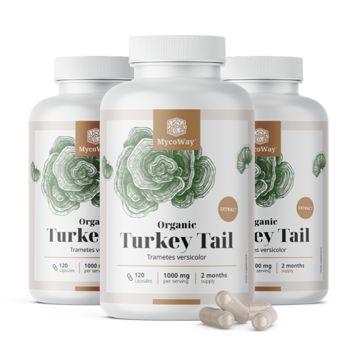 3x Cogumelo cauda-de-peru (Turkey Tail) BIO 1000 mg – extrato, total de 360 cápsulas