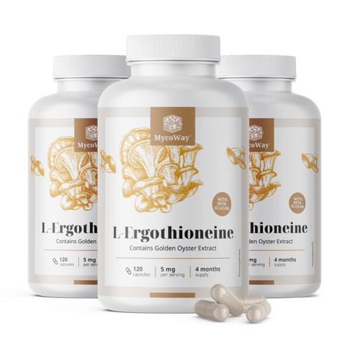 3x L-ergotioneína 5 mg, total de 360 cápsulas