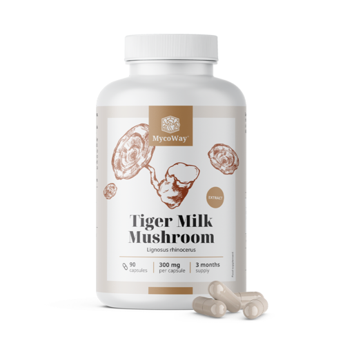 Tiger Milk 300 mg – extrato de cogumelo Lignosus rhinocerus, 90 cápsulas
