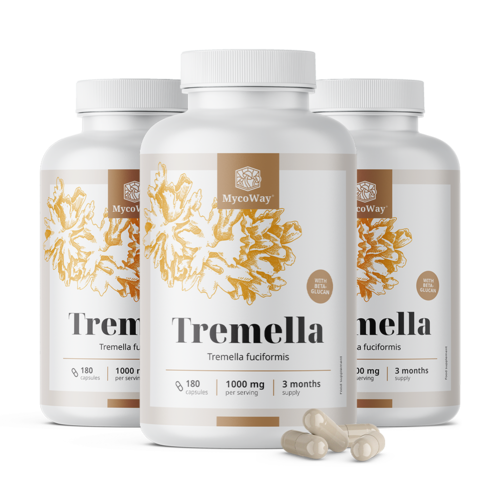 3x Tremella 1000 mg – extrato, total de 540 cápsulas