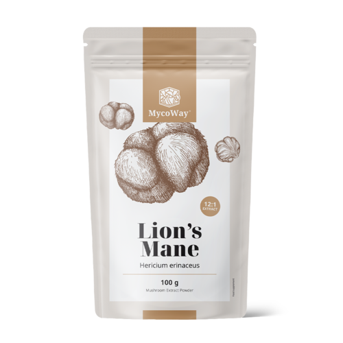 Cogumelo juba de leão – extrato 12:1, 100 g