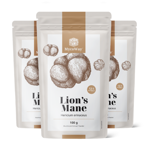 3x Cogumelo juba de leão - extrato 12:1, total de 300 g