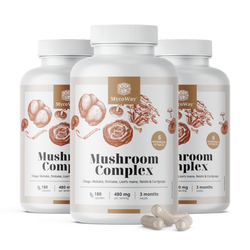 3x Complexo de cogumelos, total de 540 cápsulas