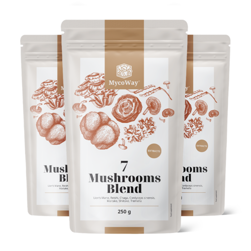 3x Mistura de extratos de sete cogumelos em pó, total de 750 g