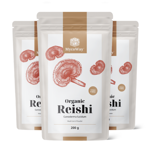 3x BIO Reishi em pó, total de 600 g