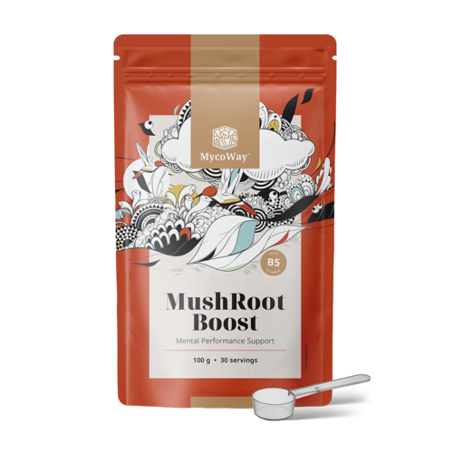 MushRoot Boost - bebida para o desempenho mental, 100 g