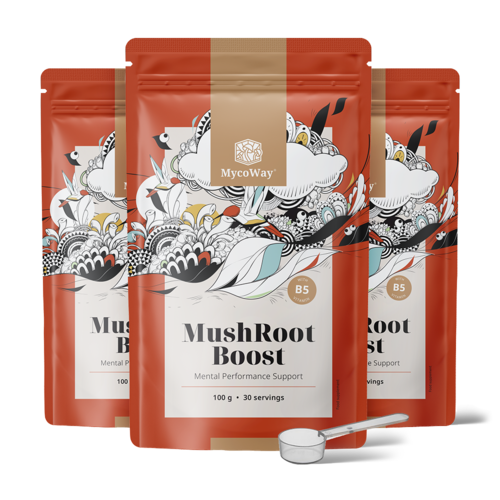 3x MushRoot Boost - uma bebida para o desempenho mental, total de 300 g