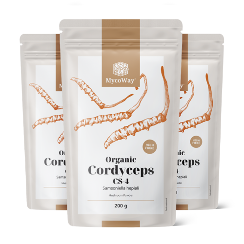 3x BIO Cordyceps CS-4 em pó, total de 600 g