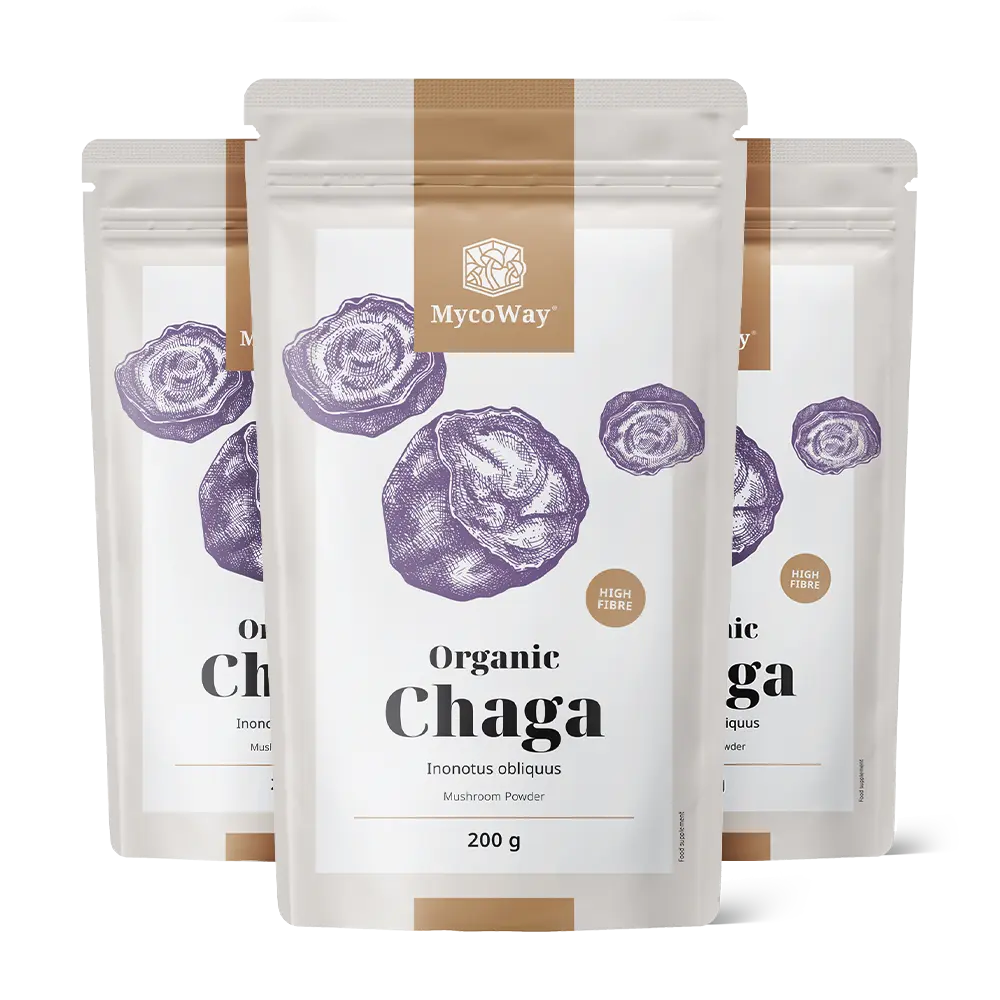 BIO Chaga v prahu