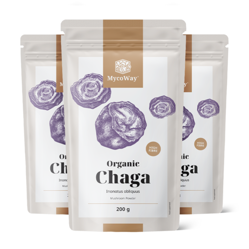 3x BIO Chaga em pó, total de 600 g