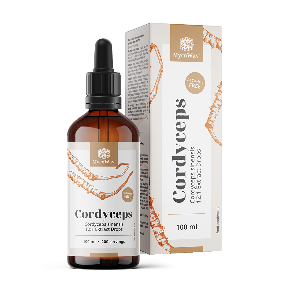 Cordyceps - extrato em gotas