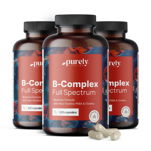 3x Complexo B – espectro completo de vitaminas B, total de 360 cápsulas